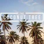 Coconut Tree Oxford