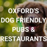 Oxford dog friendly restaurants